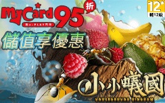 小小蟻國