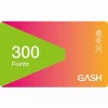 GASH 300點